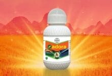 Bayer Adora Herbicide