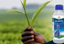 Bayer Alanto Insecticide
