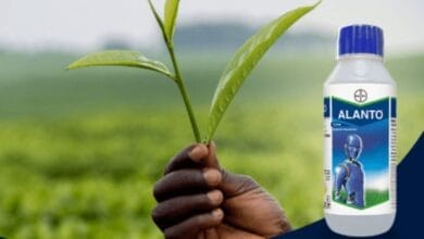 Bayer Alanto Insecticide