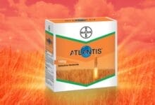 Bayer Atlantis Herbicide