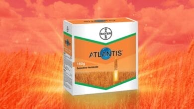 Bayer Atlantis Herbicide