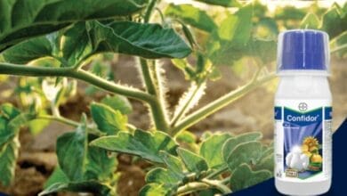 Bayer Confidor® Insecticide