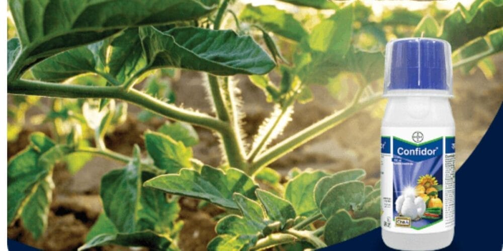 Bayer Confidor® Insecticide