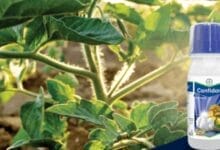 Bayer Confidor® Insecticide