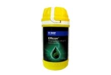 Efficon Insecticide