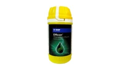 Efficon Insecticide