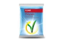 Polyram Fungicide