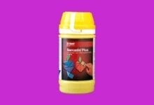 Sercadis® Plus Fungicide