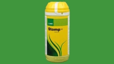 Stomp Herbicide
