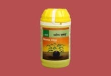 Stomp Xtra Herbicide