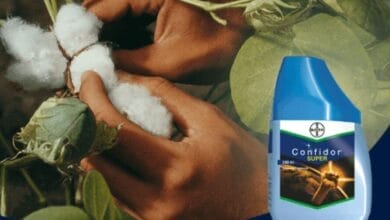 Bayer Confidor® Super Insecticide