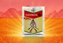 Bayer Council® Activ Herbicide
