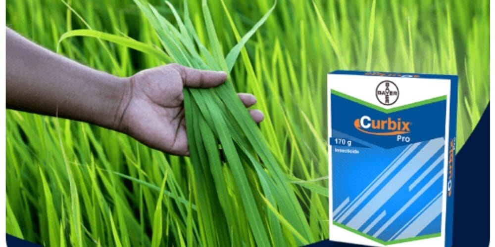Bayer Curbix® Pro Insecticide