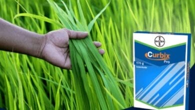 Bayer Curbix® Pro Insecticide