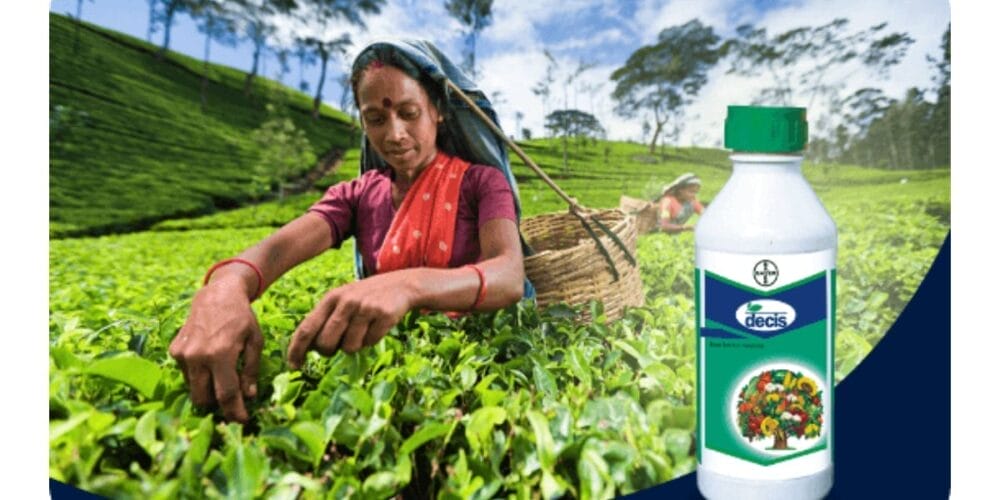 Bayer Decis® 2.8 Insecticide