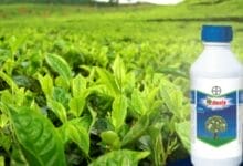 Bayer Decis® 100 Insecticide