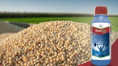 Bayer EverGol® Xtend