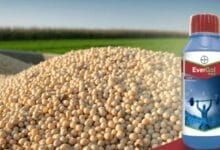 Bayer EverGol® Xtend