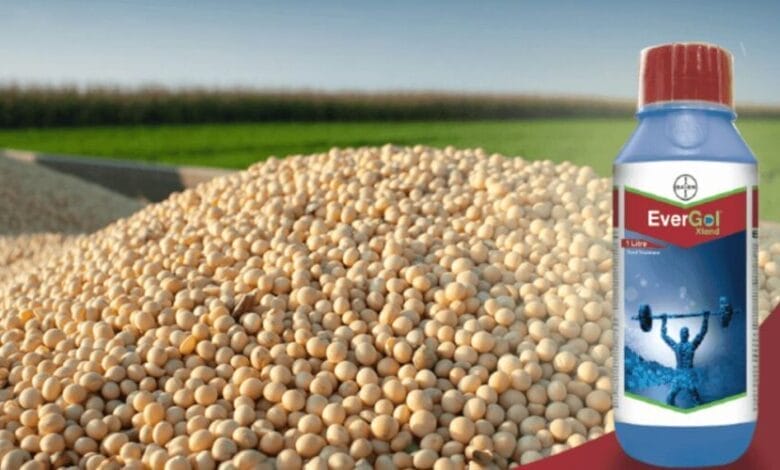 Bayer EverGol® Xtend