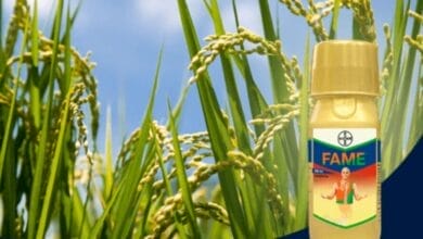 Bayer Fame® Insecticide