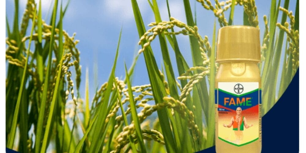 Bayer Fame® Insecticide