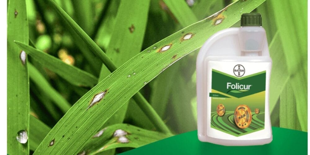 Bayer Folicur Fungicide