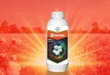 Bayer Ghasa Herbicide