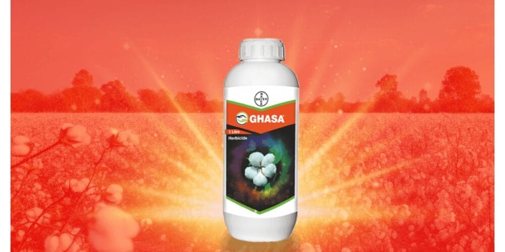 Bayer Ghasa Herbicide