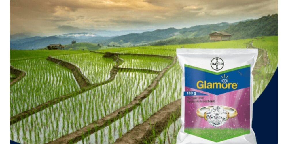 Bayer Glamore Insecticide