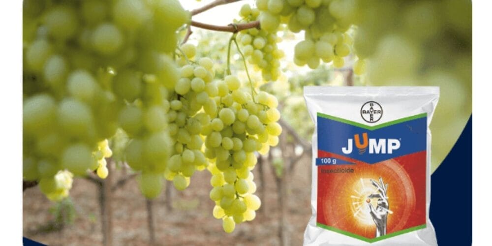 Bayer Jump insecticide