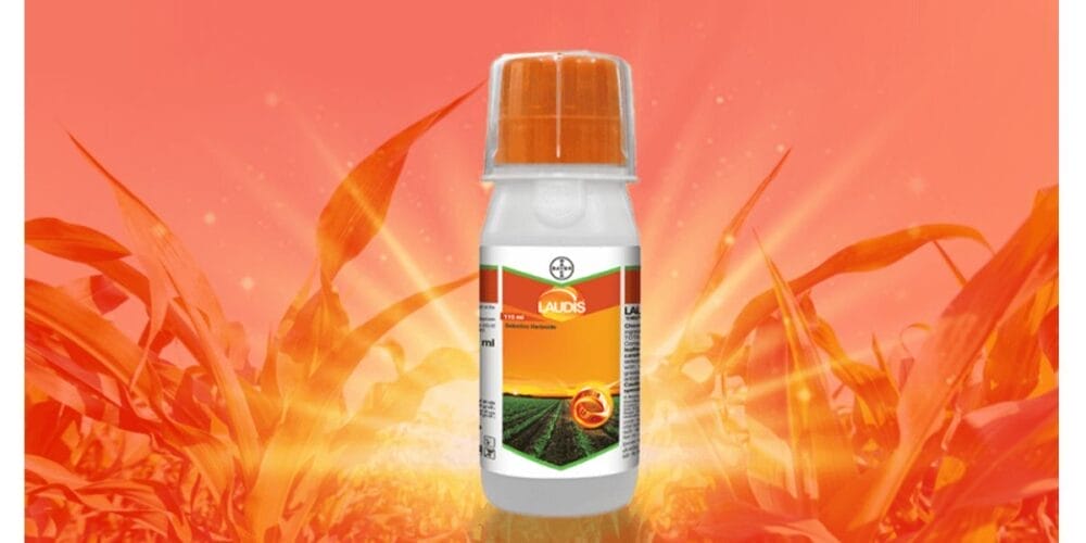 Bayer Laudis® Herbicide