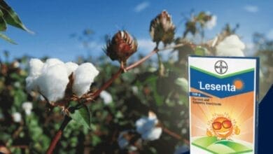 Bayer Lesenta Insecticide