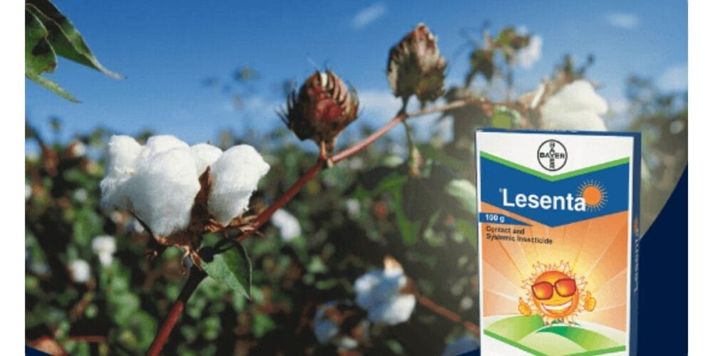 Bayer Lesenta Insecticide