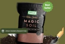 IFFCO Urban Garden Magic Soil