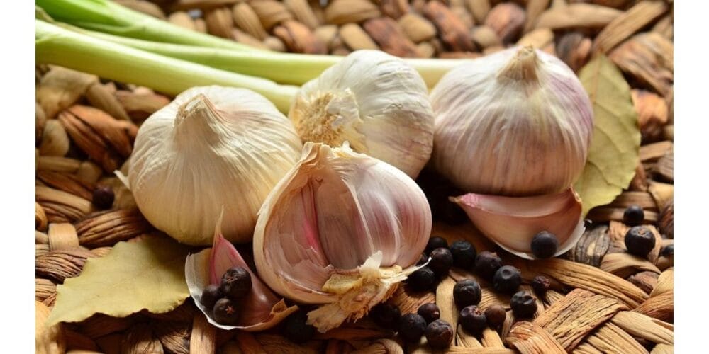 3 Easy Steps to Plant Garlic in Your Garden