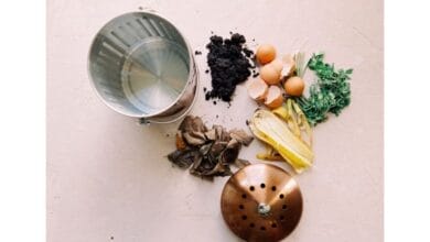 Basics of Composting at Home