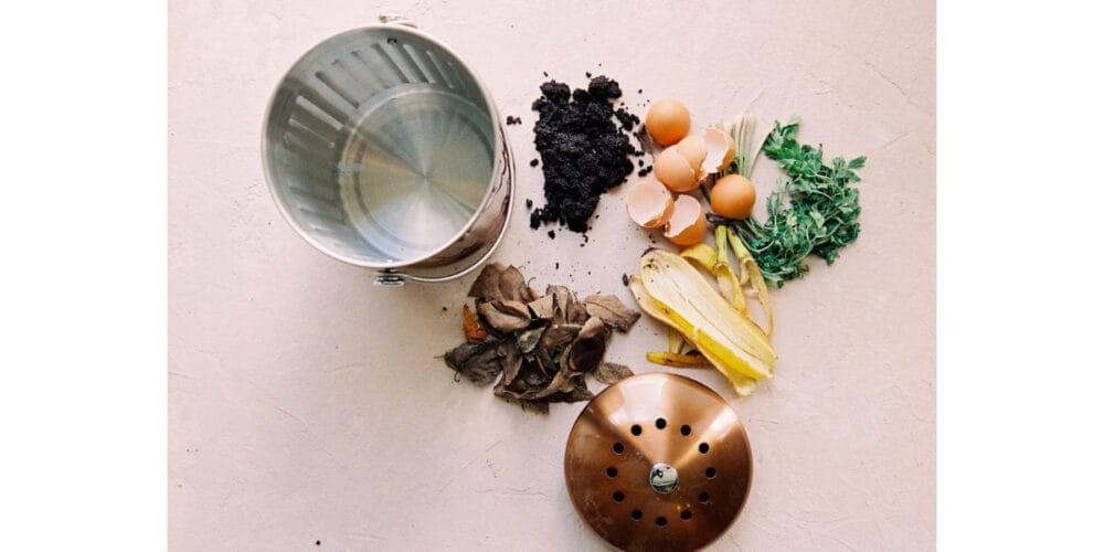 Basics of Composting at Home