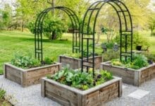 Complete Guide to Starting a Garden