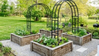 Complete Guide to Starting a Garden