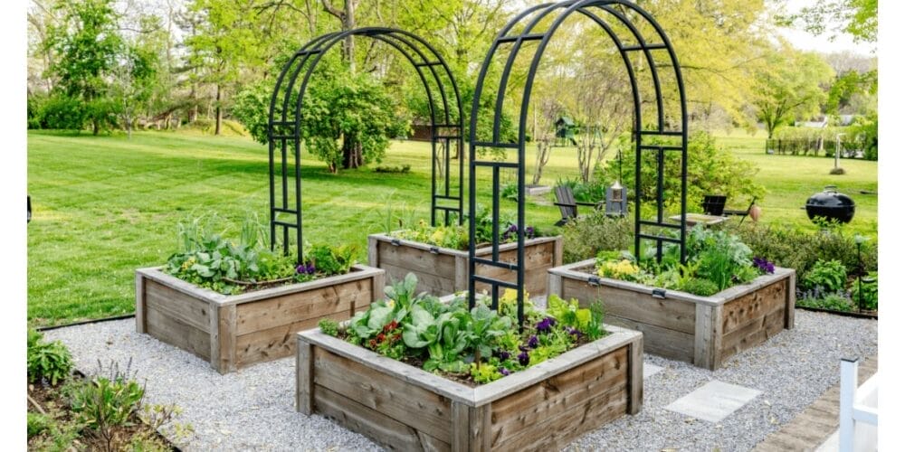 Complete Guide to Starting a Garden