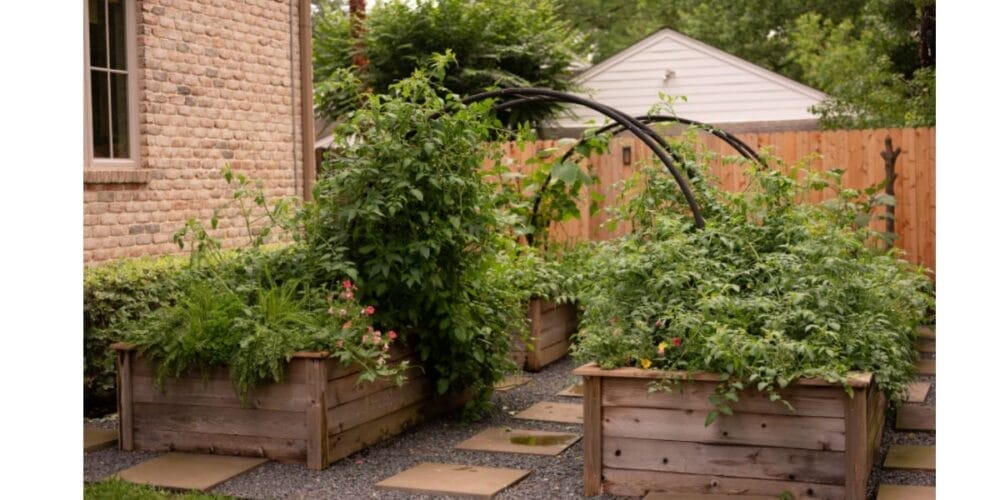 Complete Guide to Using Trellises in the Kitchen Garden