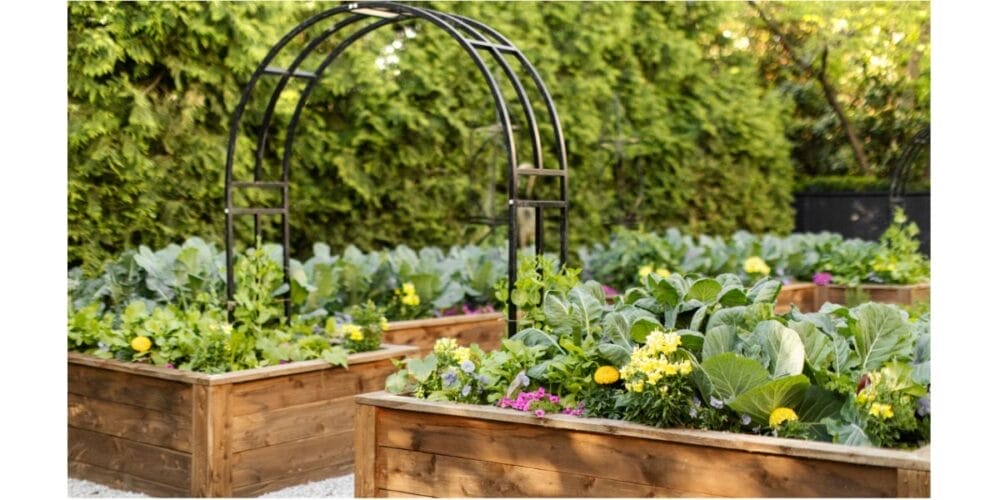 The Best Plant Combinations for the Fall Garden