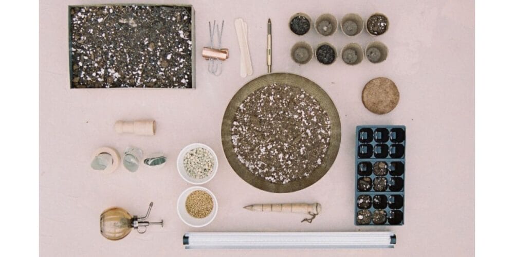 The Best Seed Starting Soil Mix, Trays, and LED Lights for Indoors