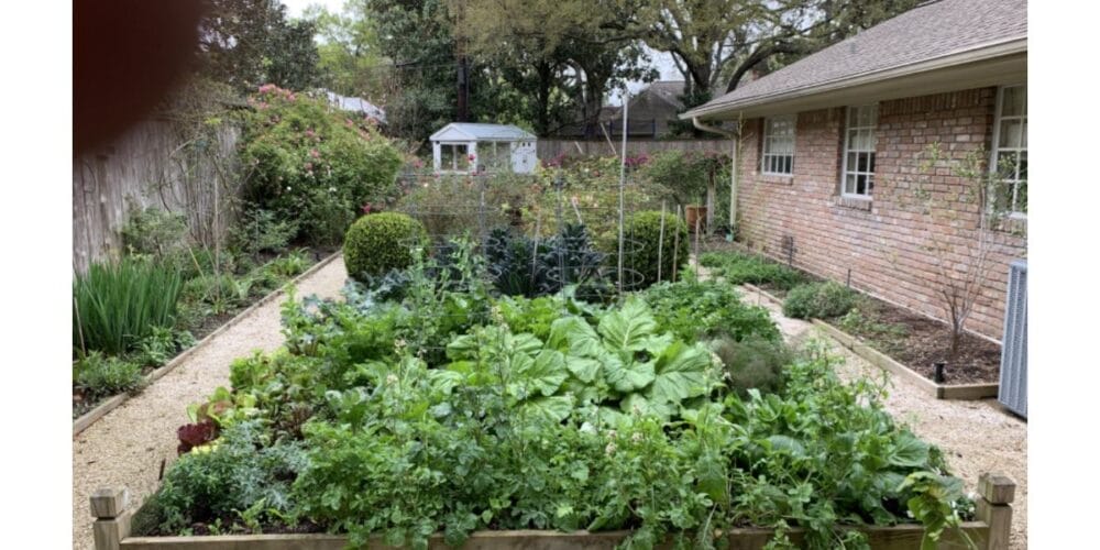 The Best Way to Start a Victory Garden