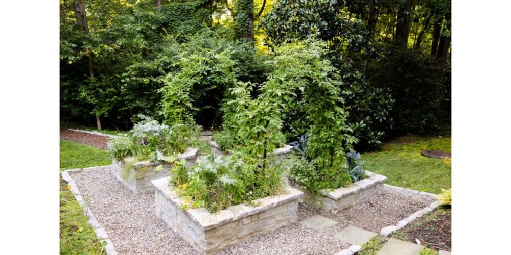 The Complete Guide to Vertical Gardening