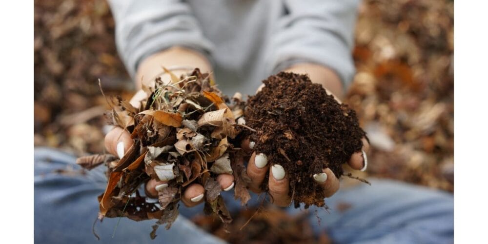 Turn Fall Leaves into Nutrient-Rich Compost for Your Garden