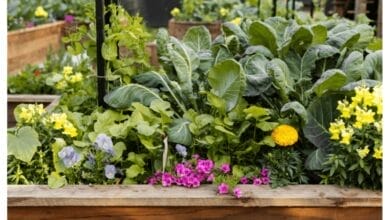 What Does My Gardening Zone Mean?