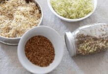 Your Step-by-Step Guide to Growing Sprouts at Home