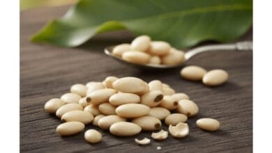 How to Grow Charoli (Chironji) Tree