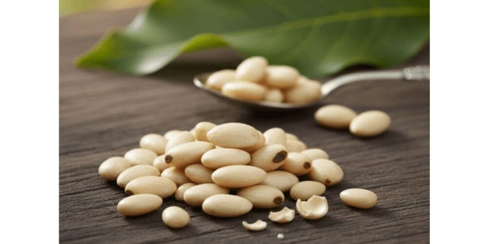 How to Grow Charoli (Chironji) Tree